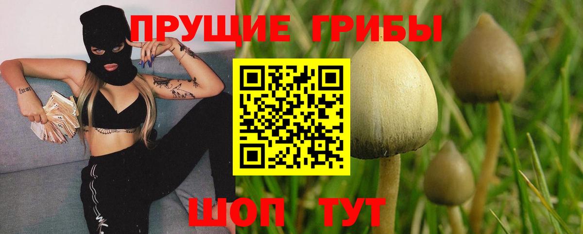 Галлюциногенные грибы MAGIC MUSHROOMS  как найти закладки  Людиново  Псилоцибиновые грибы Magic Shrooms  Вход с VPN 
