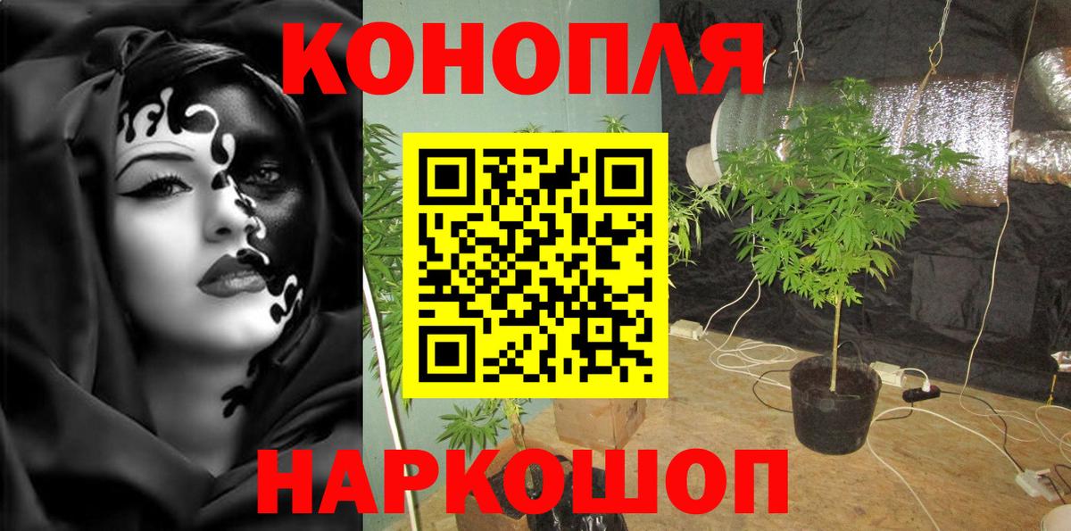 Марихуана Ganja  Вход с VPN  Бошки Шишки планчик  Людиново 